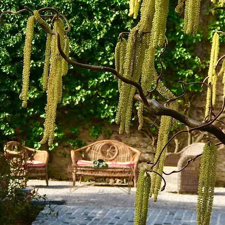 Domaine Lapromise Holiday home *
