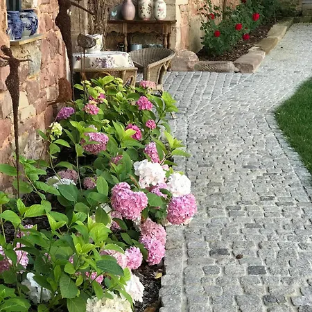 Domaine Lapromise *