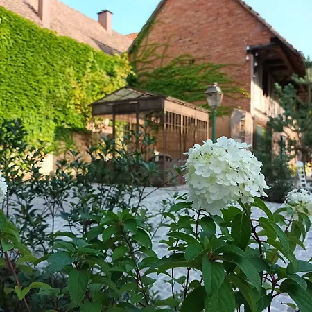 Holiday home Domaine Lapromise *