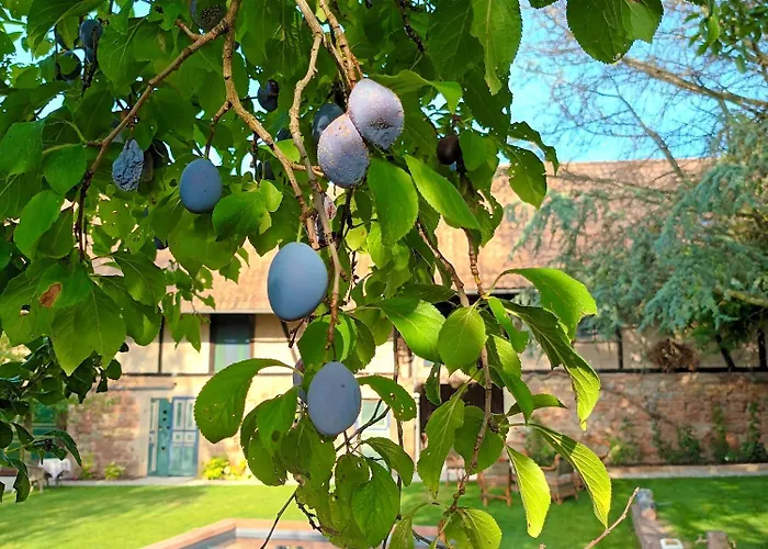 Domaine Lapromise Melsheim (Bas-Rhin)