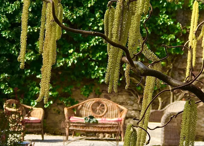 Domaine Lapromise Semesterbostad *