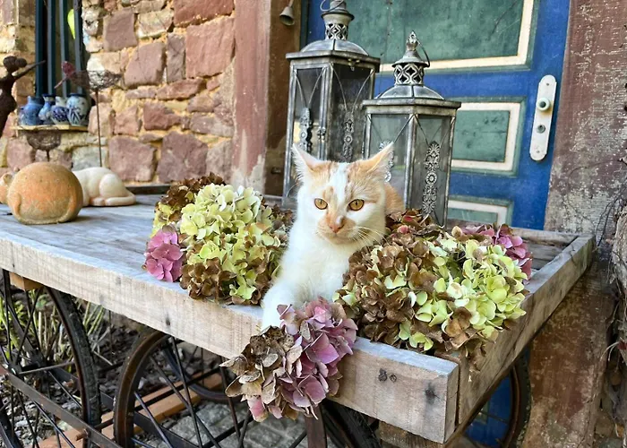 Domaine Lapromise Semesterbostad *